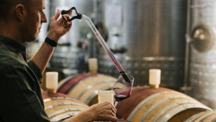 Shiraz and Smoke Winemakers' Lunch at Benguela Cove 